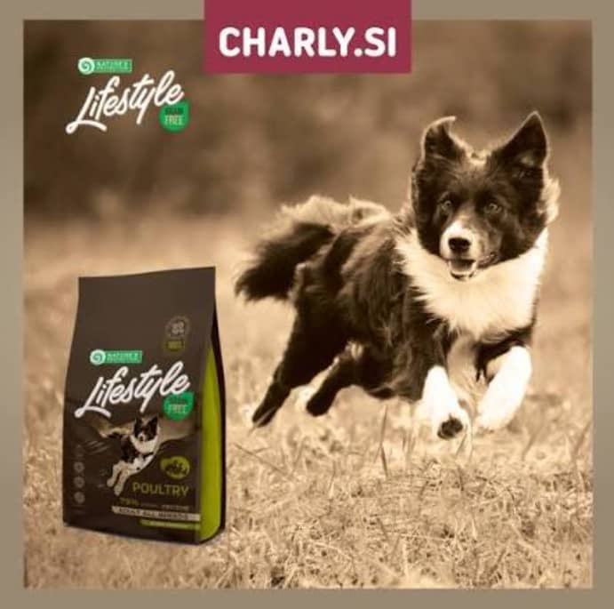priboljški za pse charly 2